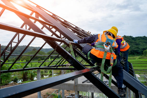 Roof Gutter Cleaning in Caldwell, OH