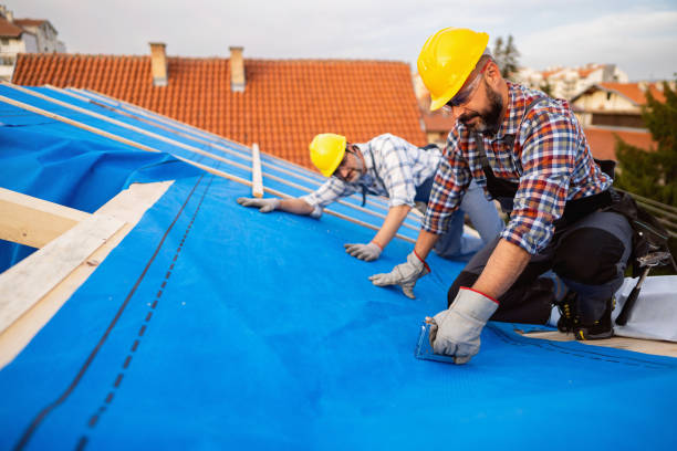 Best Roof Leak Repair  in Caldwell, OH