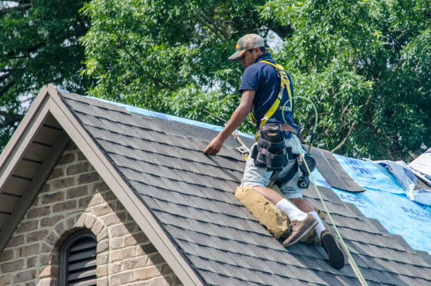 Best Shingle Roofing Installation  in Caldwell, OH